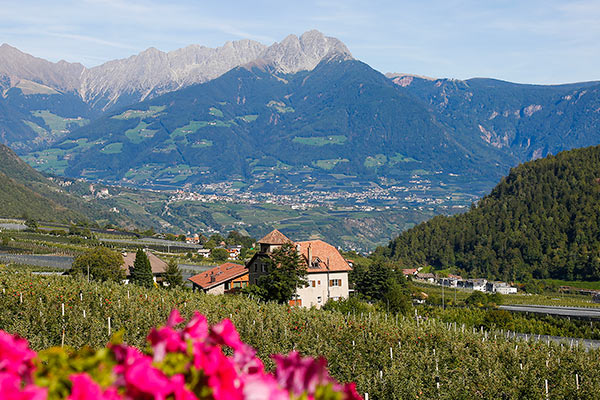 Vista panoramica su Merano