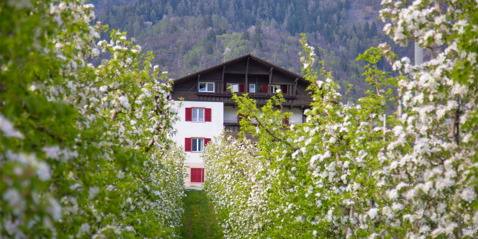 Parcines vicino a Merano